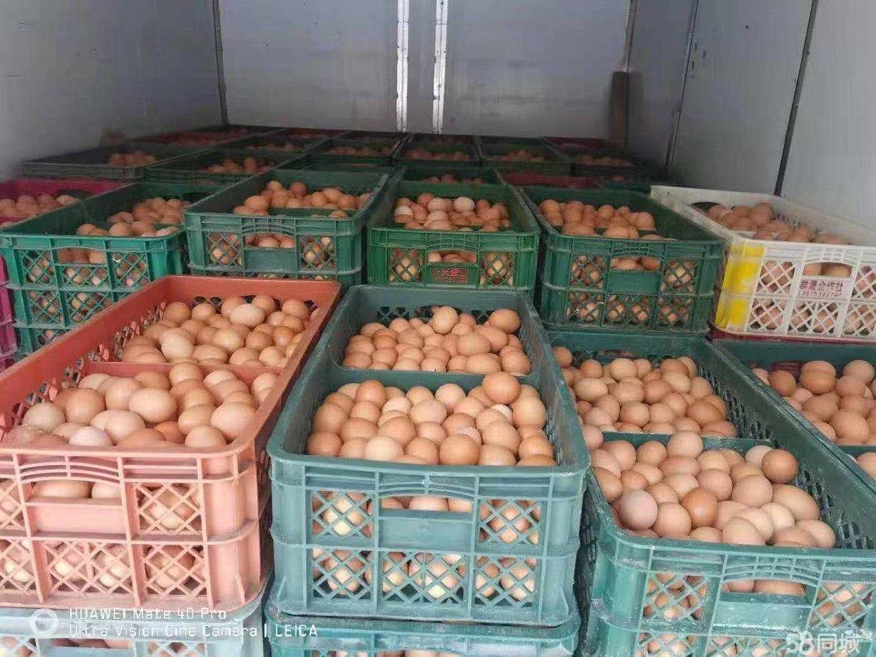 （快租免费寻址）奎文区潍州路君泰商城鸡蛋批发对外转让