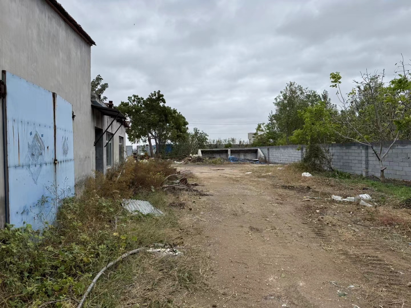 （快租）坊子新区志远路潍水东街大院养殖场可整租可分租